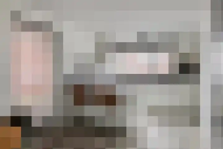 Meester Bakxstraat 14 Oirschot thumbnail 15