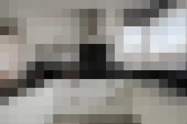 Meester Bakxstraat 14 Oirschot thumbnail 16