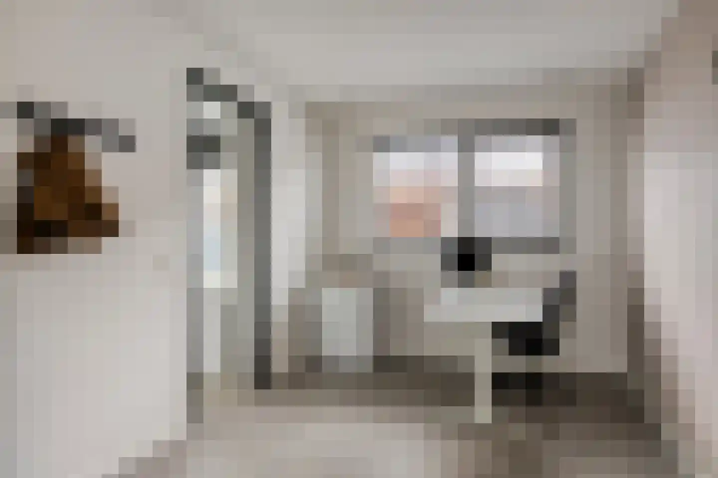 Meester Bakxstraat 14 Oirschot thumbnail 22