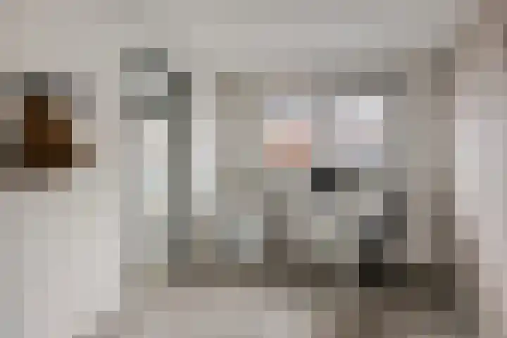 Meester Bakxstraat 14 Oirschot thumbnail 22