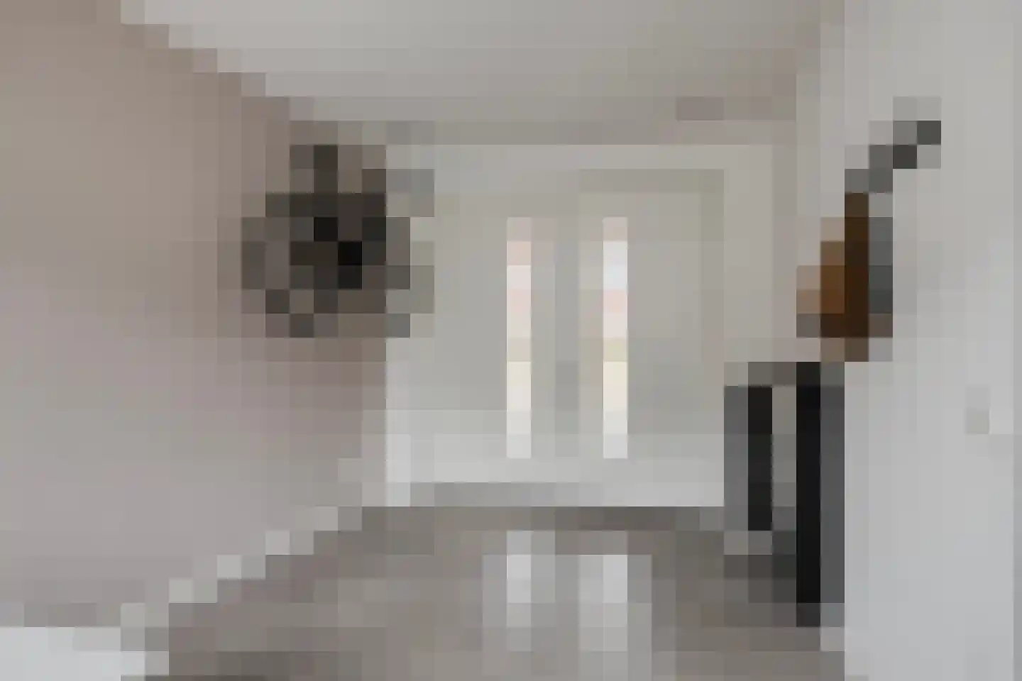 Meester Bakxstraat 14 Oirschot thumbnail 23