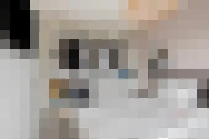 Meester Bakxstraat 14 Oirschot thumbnail 27