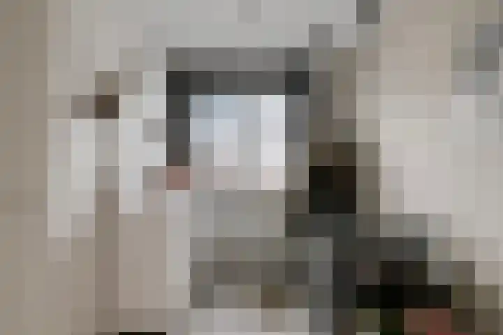 Meester Bakxstraat 14 Oirschot thumbnail 28