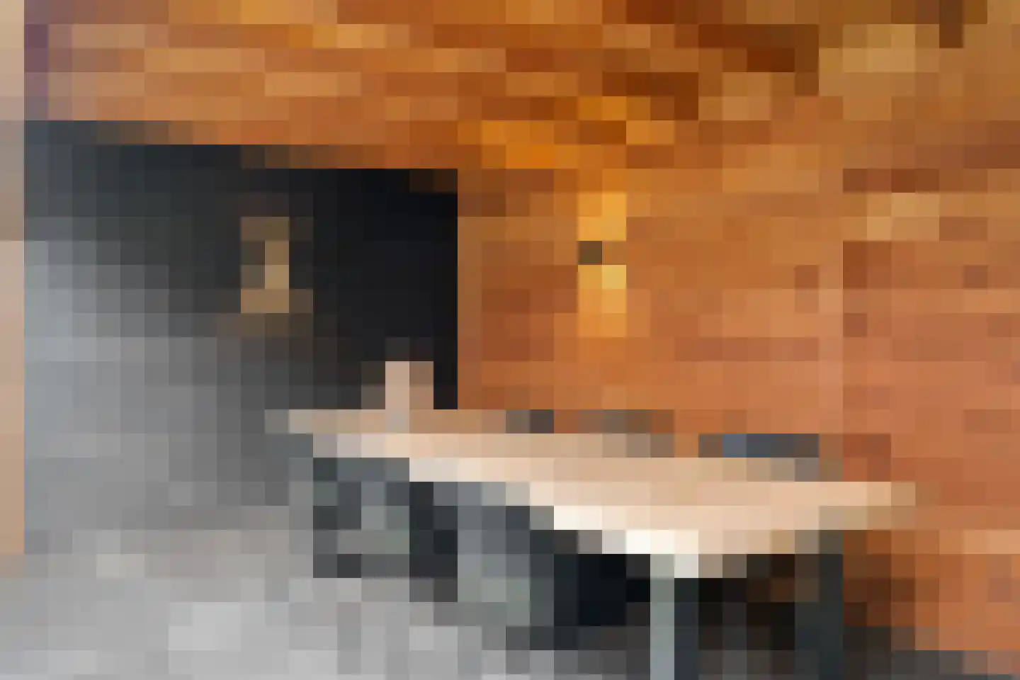 Meester Bakxstraat 14 Oirschot thumbnail 39