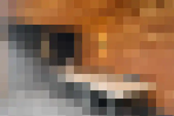 Meester Bakxstraat 14 Oirschot thumbnail 39