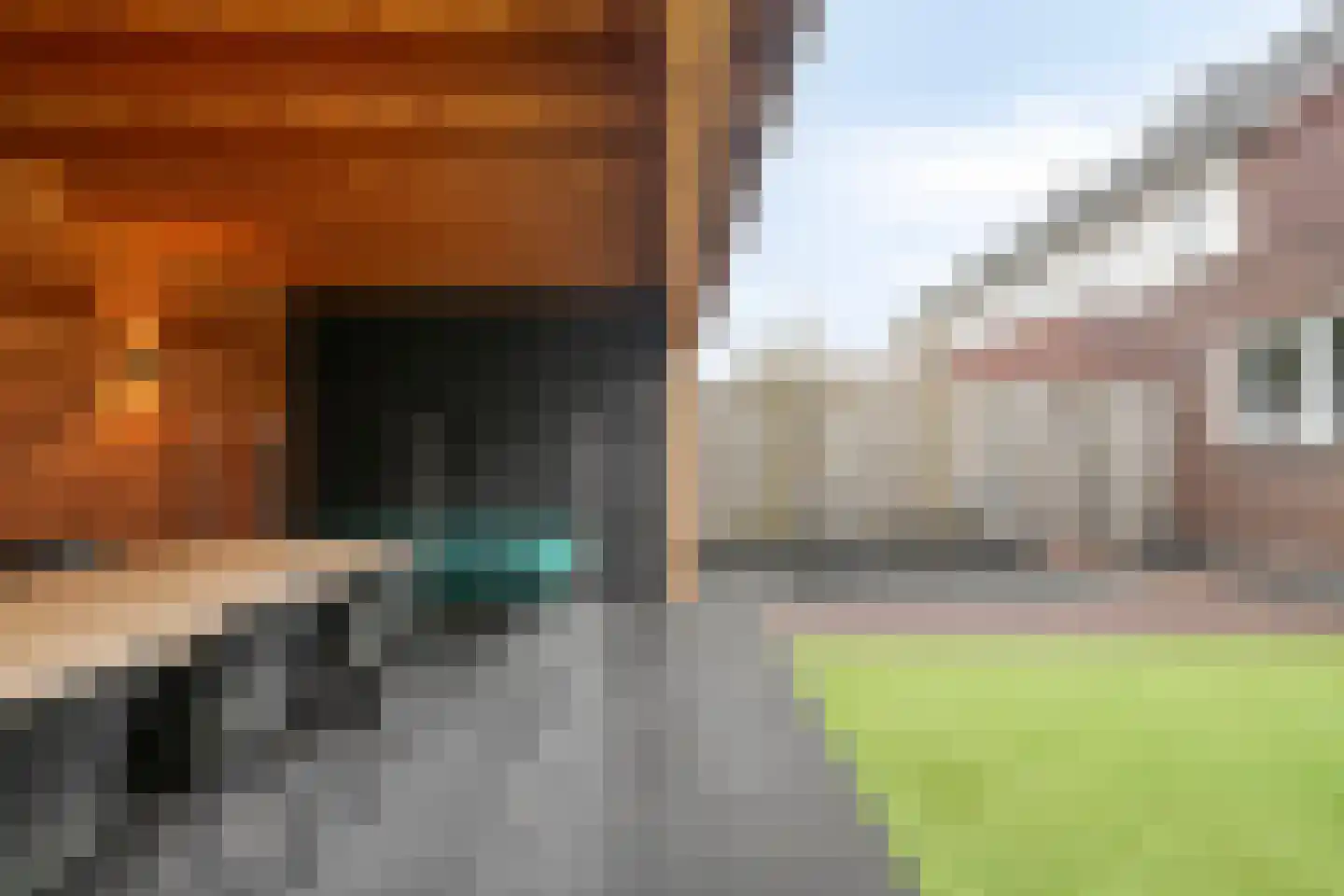 Meester Bakxstraat 14 Oirschot thumbnail 40