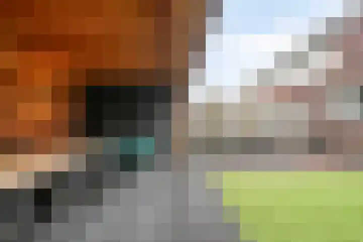 Meester Bakxstraat 14 Oirschot thumbnail 40