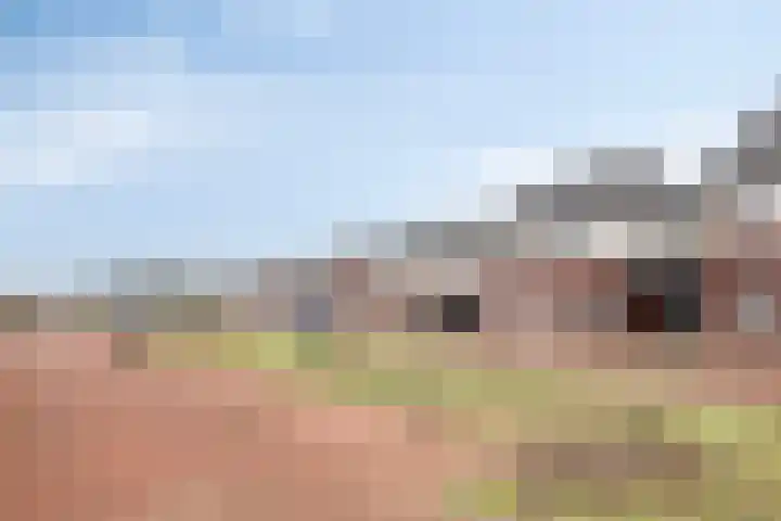 Meester Bakxstraat 14 Oirschot thumbnail 6