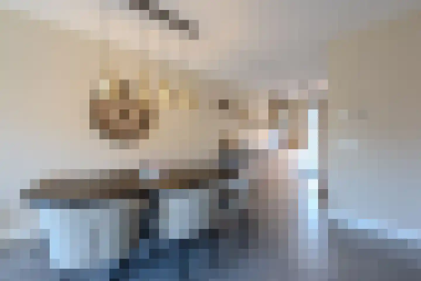 Meester Bakxstraat 19 Oirschot thumbnail 12