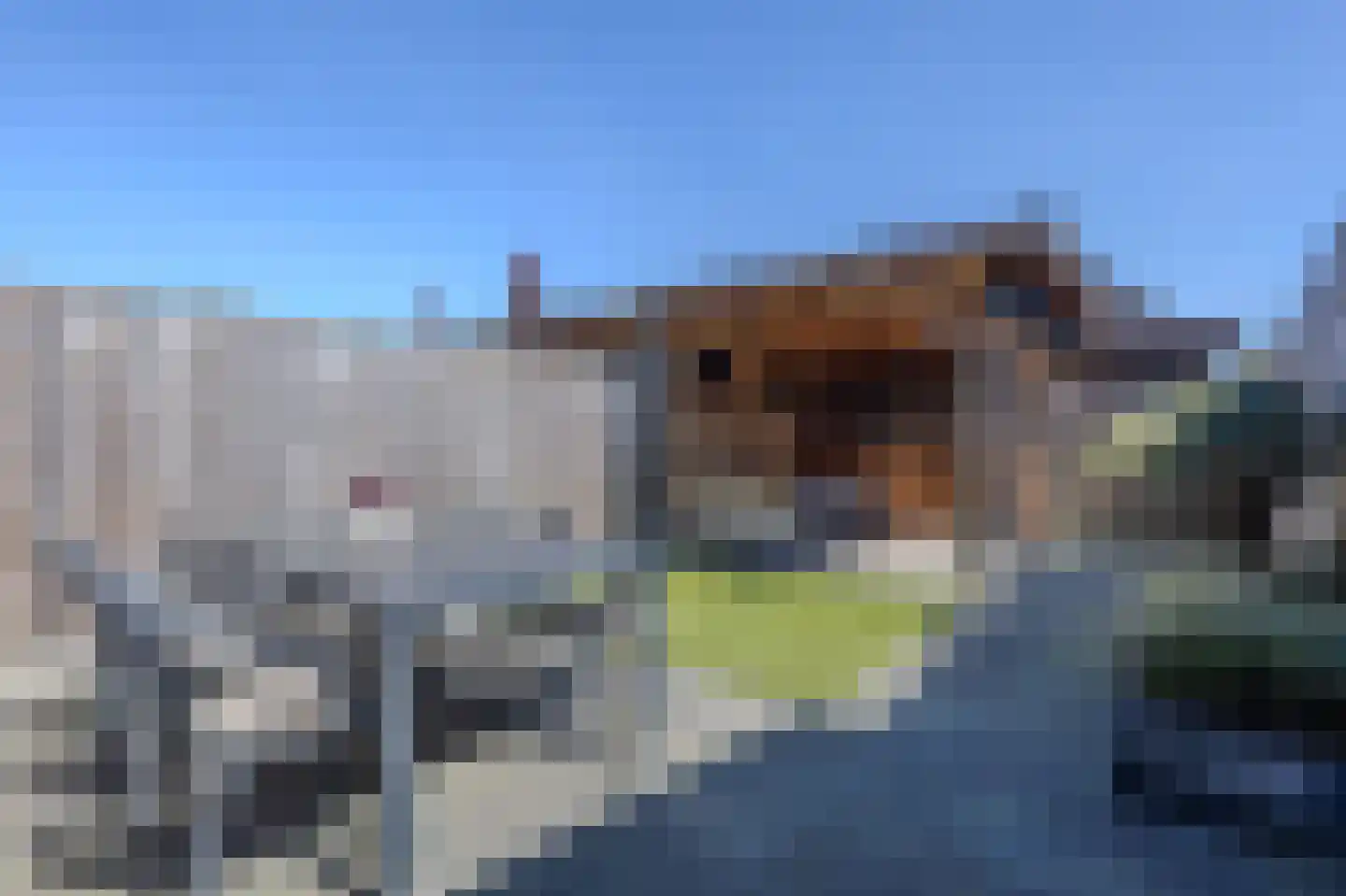 Meester Bakxstraat 19 Oirschot thumbnail 26