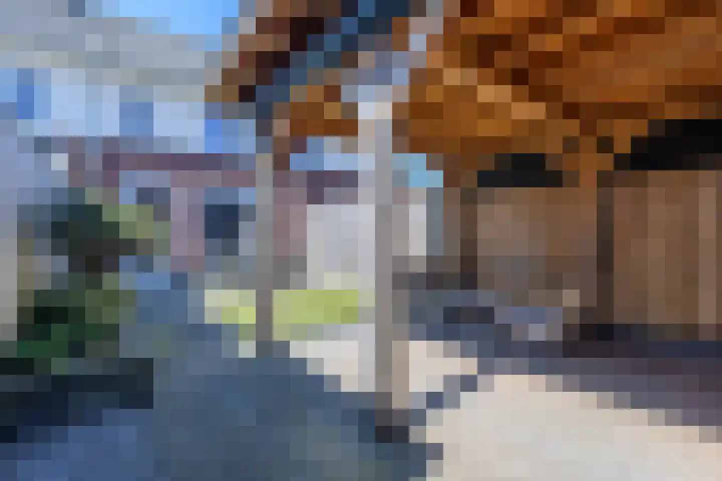 Meester Bakxstraat 19 Oirschot thumbnail 29