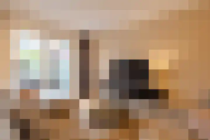 Meester Bakxstraat 9 Oirschot thumbnail 15
