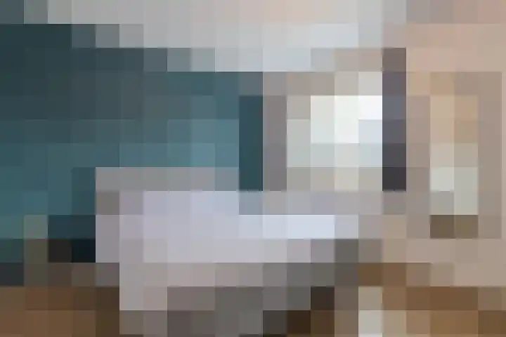 Meester Bakxstraat 9 Oirschot thumbnail 18