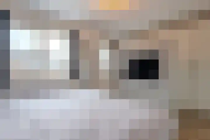 Meester Bakxstraat 9 Oirschot thumbnail 20