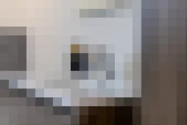 Meester Bakxstraat 9 Oirschot thumbnail 27