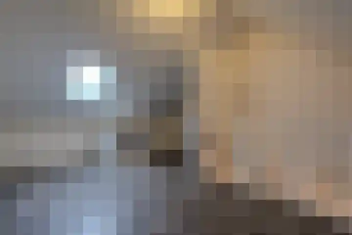 Meester Bakxstraat 9 Oirschot thumbnail 30