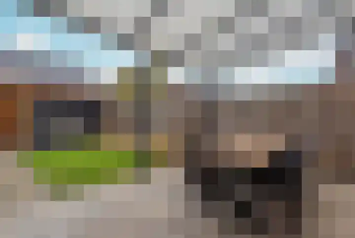 Meester Bakxstraat 9 Oirschot thumbnail 31