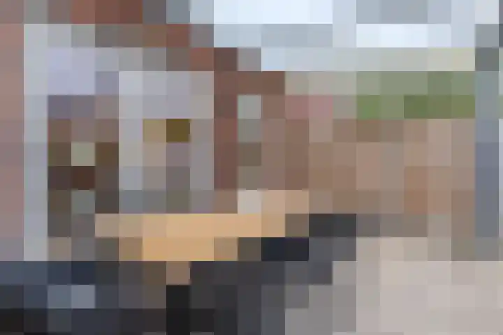 Meester Bakxstraat 9 Oirschot thumbnail 32