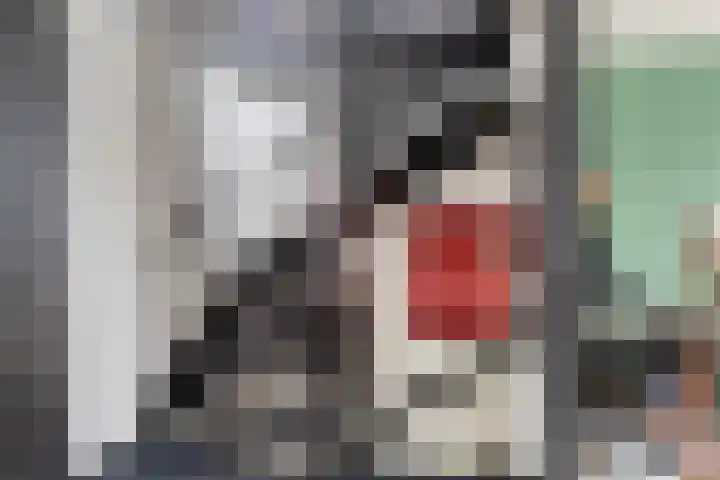 Meester Berninkstraat 15 Denekamp thumbnail 20