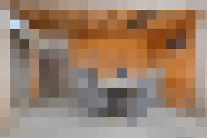 Meester Berninkstraat 15 Denekamp thumbnail 25