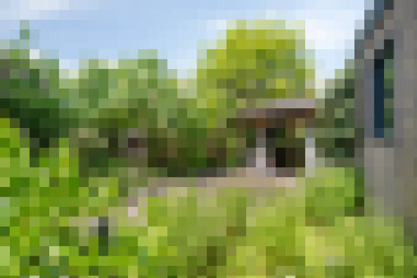 Meester Beukenweg 35 Mechelen thumbnail 27