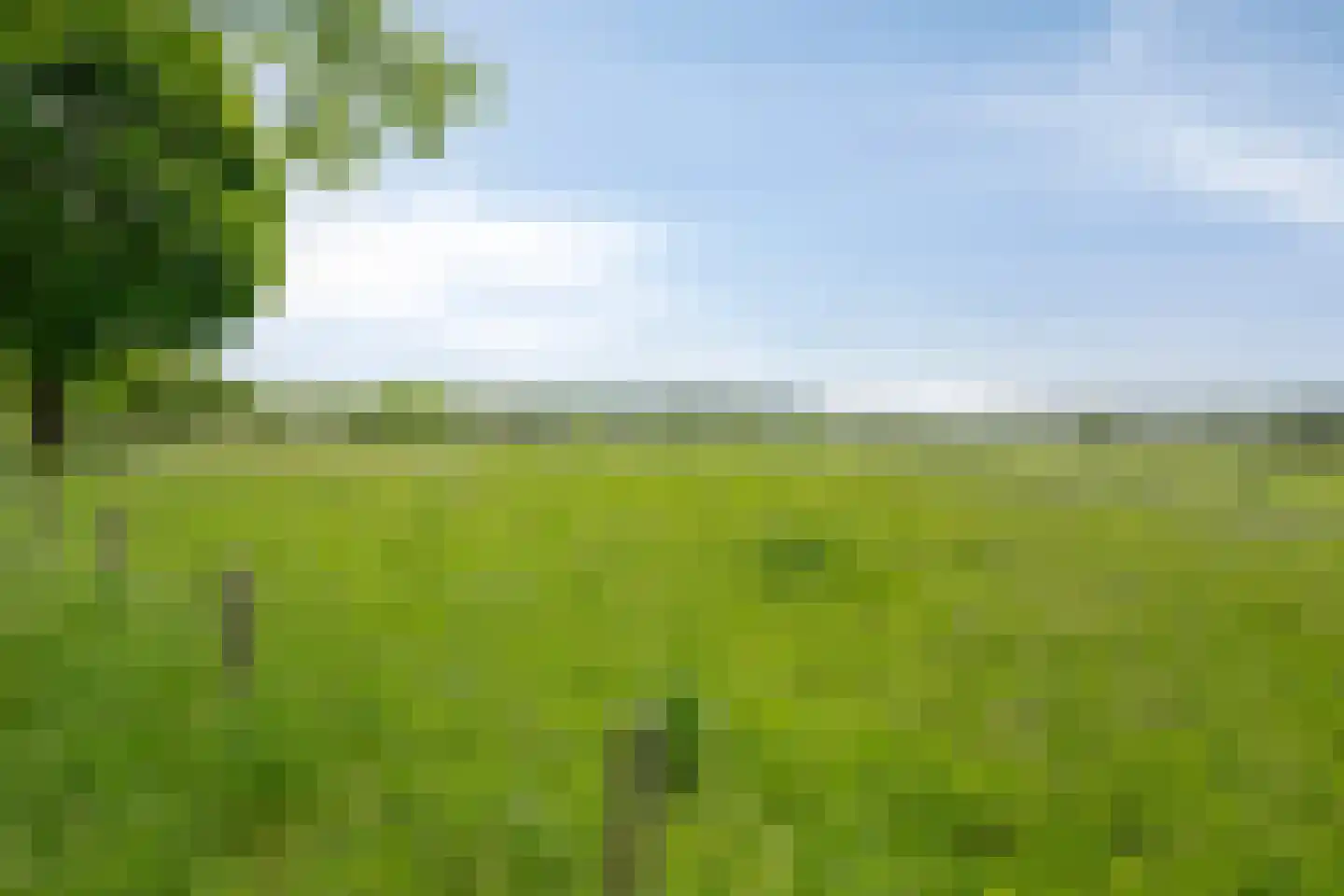 Meester Beukenweg 35 Mechelen thumbnail 34
