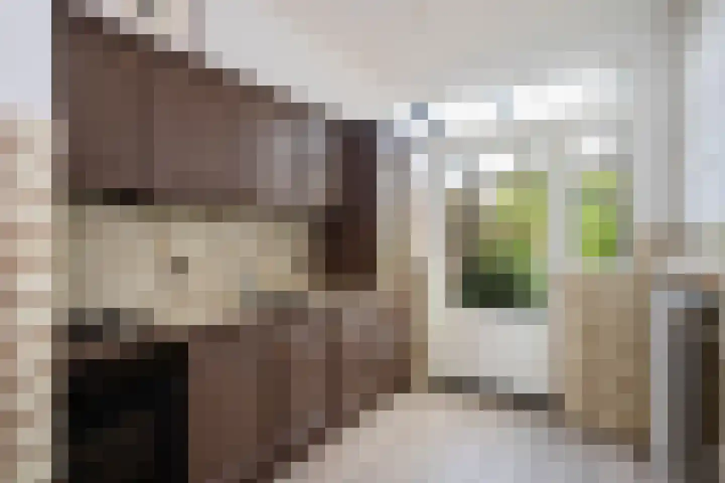 Meester Beukenweg 35 Mechelen thumbnail 4