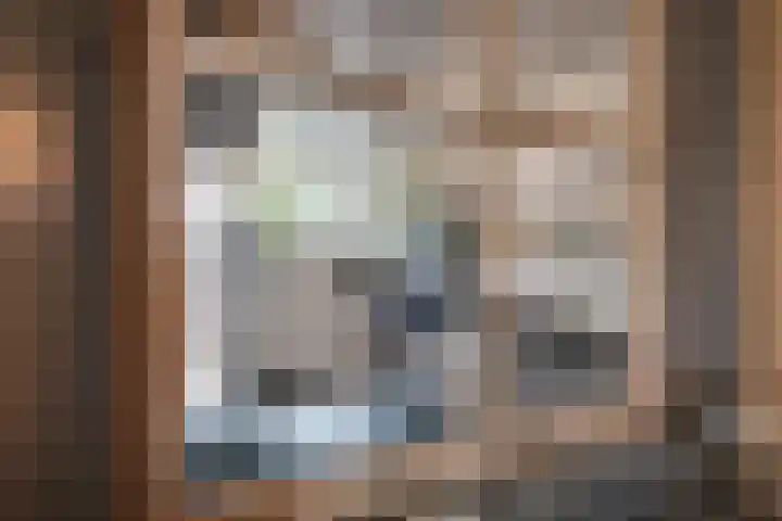Meester Bierensweg 50 Prinsenbeek thumbnail 13