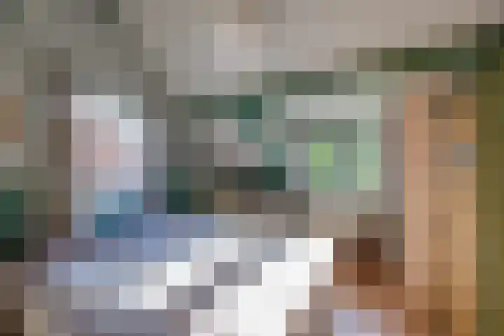 Meester Bierensweg 50 Prinsenbeek thumbnail 18