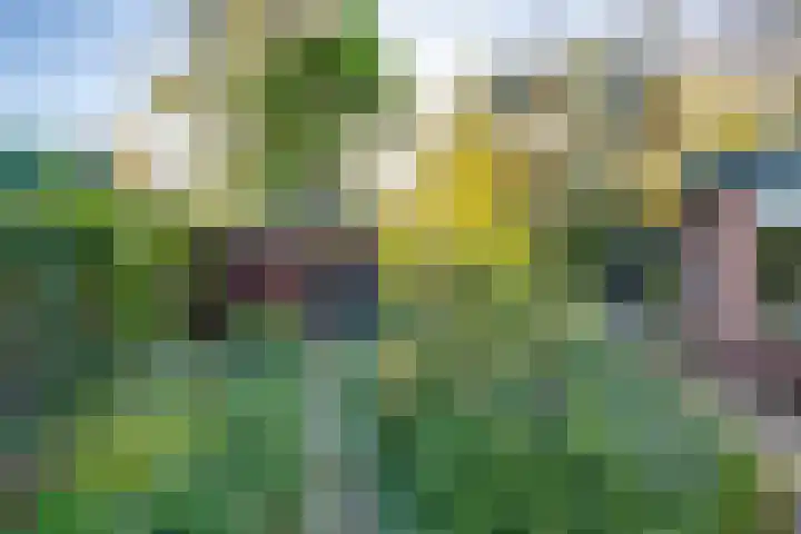 Meester Bierensweg 50 Prinsenbeek thumbnail 29