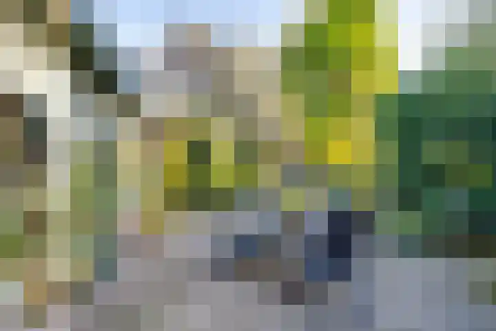 Meester Bierensweg 50 Prinsenbeek thumbnail 30