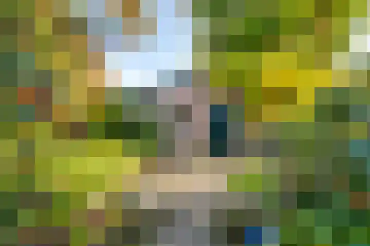 Meester Bierensweg 50 Prinsenbeek thumbnail 32