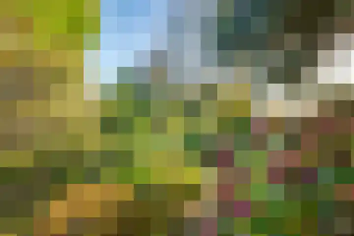 Meester Bierensweg 50 Prinsenbeek thumbnail 33