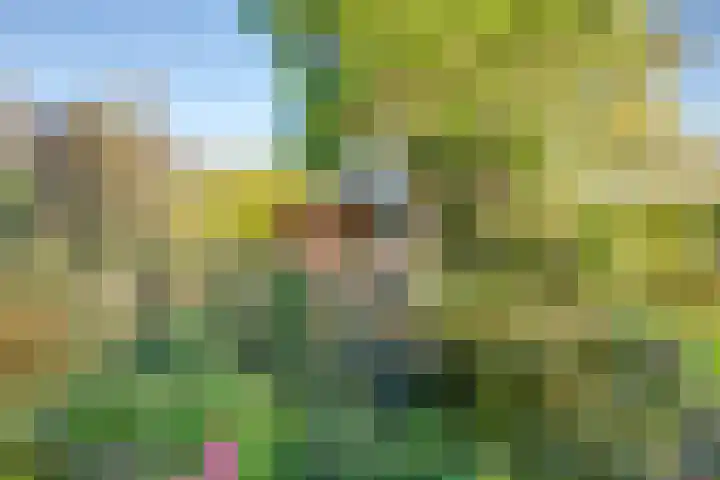 Meester Bierensweg 50 Prinsenbeek thumbnail 34
