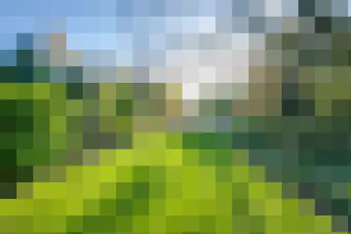 Meester Bierensweg 50 Prinsenbeek thumbnail 35