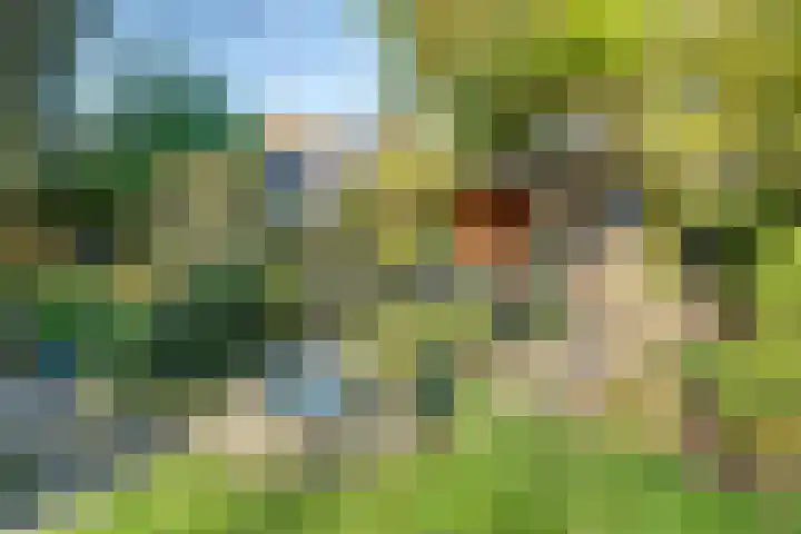 Meester Bierensweg 50 Prinsenbeek thumbnail 37