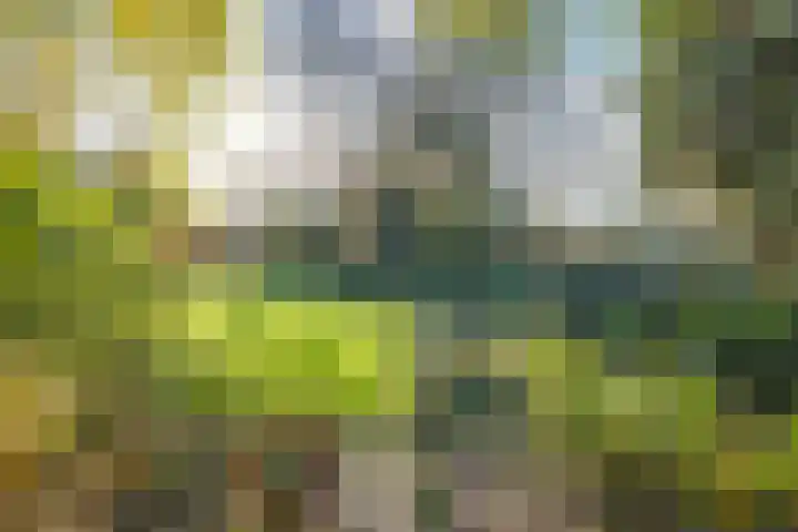 Meester Bierensweg 50 Prinsenbeek thumbnail 38