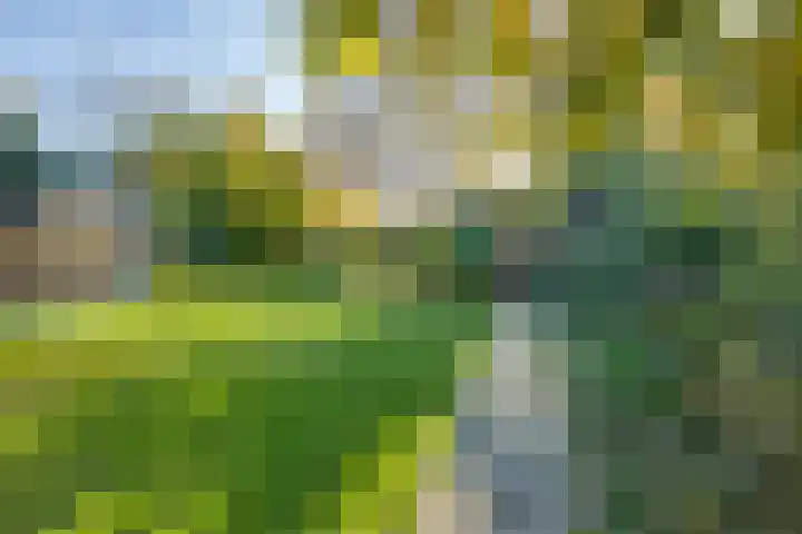 Meester Bierensweg 50 Prinsenbeek thumbnail 39
