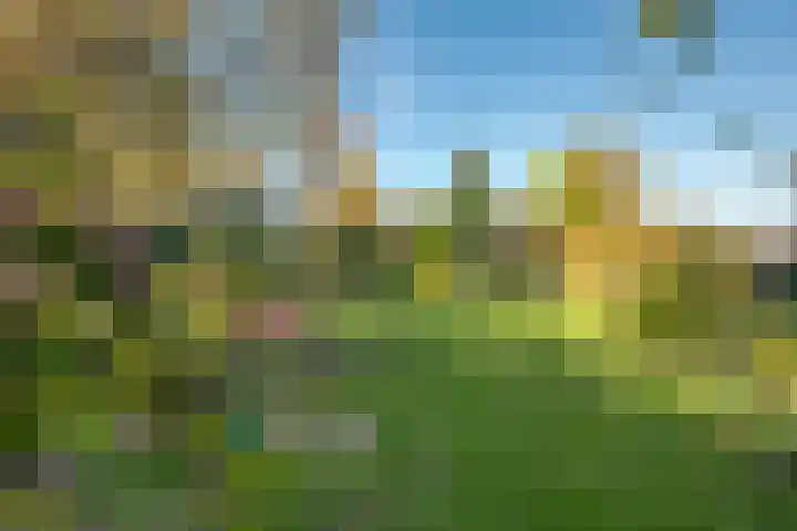Meester Bierensweg 50 Prinsenbeek thumbnail 40