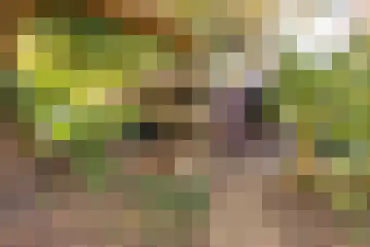 Meester Bierensweg 50 Prinsenbeek thumbnail 41