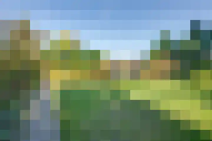 Meester Bierensweg 50 Prinsenbeek thumbnail 42