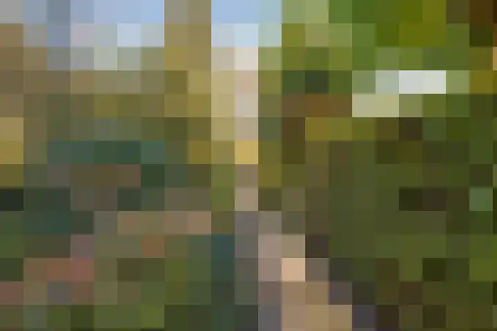 Meester Bierensweg 50 Prinsenbeek thumbnail 43