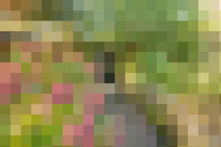 Meester Bierensweg 50 Prinsenbeek thumbnail 45