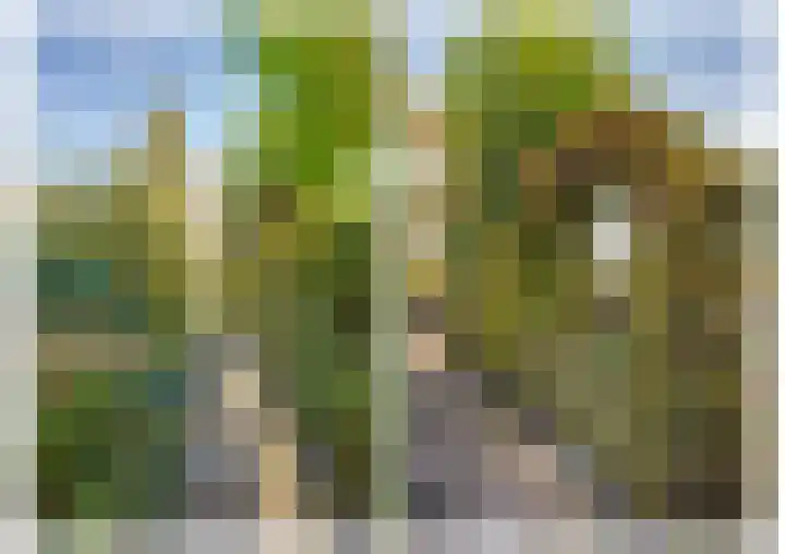 Meester Bierensweg 50 Prinsenbeek thumbnail 46