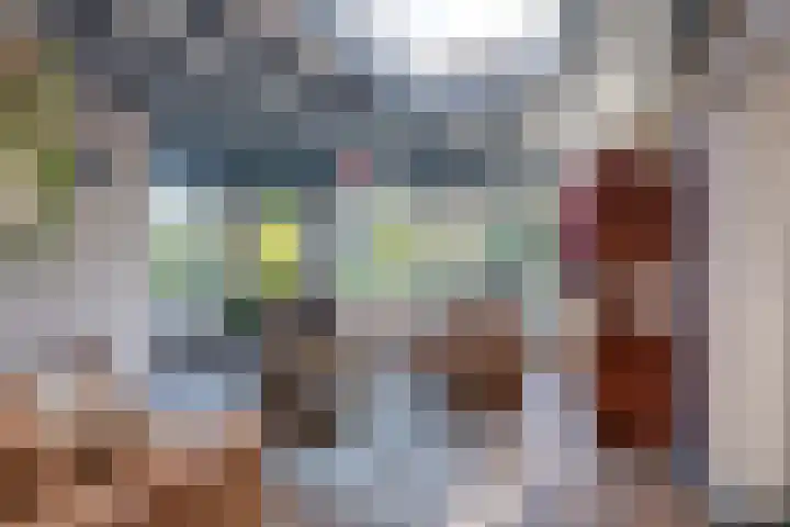 Meester Bierensweg 50 Prinsenbeek thumbnail 7