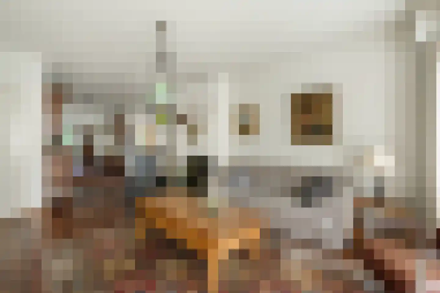 Meester Bierensweg 9 A Prinsenbeek thumbnail 11