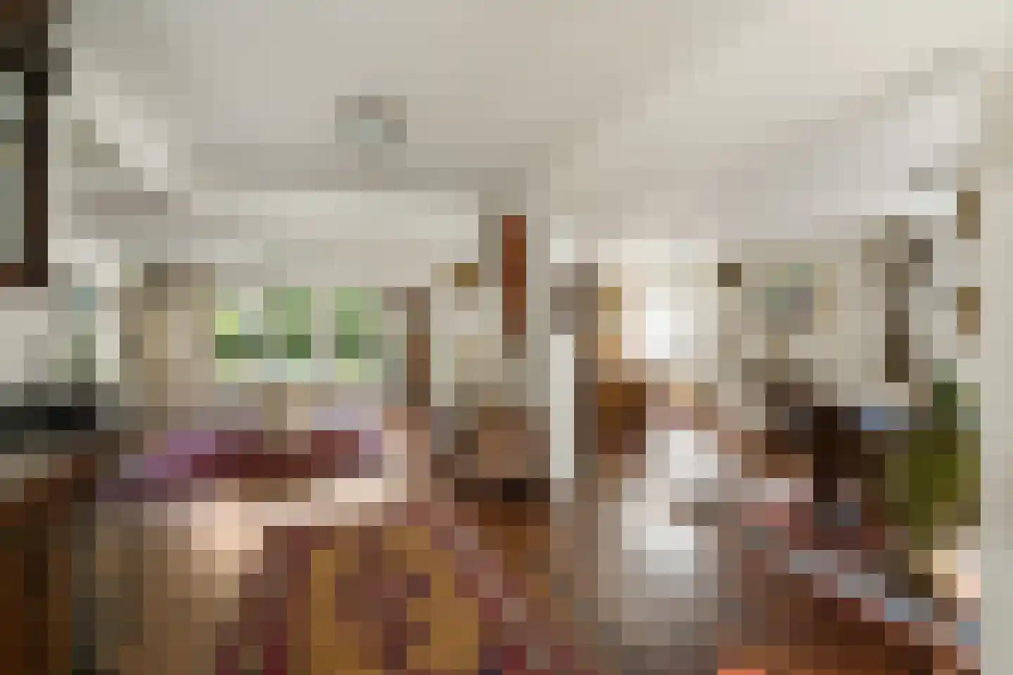 Meester Bierensweg 9 A Prinsenbeek thumbnail 13