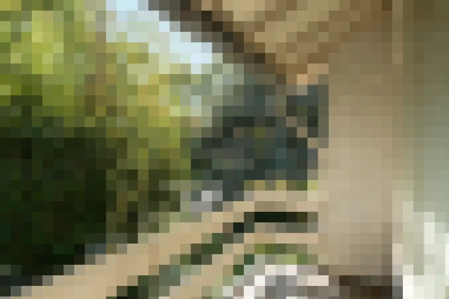 Meester Bierensweg 9 A Prinsenbeek thumbnail 26