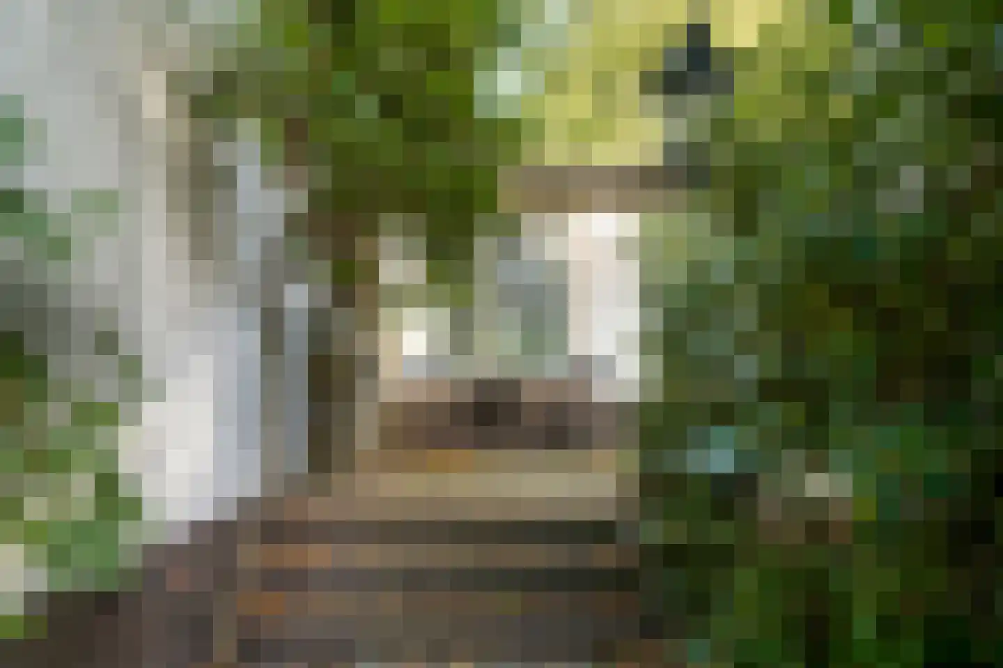 Meester Bierensweg 9 A Prinsenbeek thumbnail 27