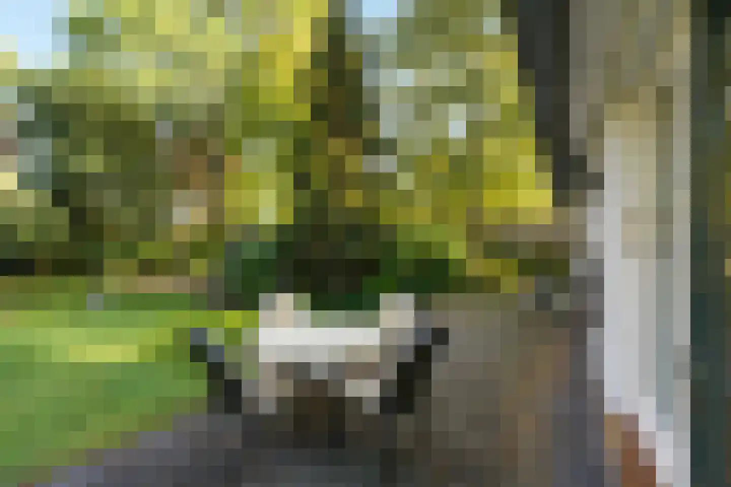 Meester Bierensweg 9 A Prinsenbeek thumbnail 28